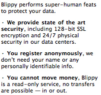 Blippy's security measures