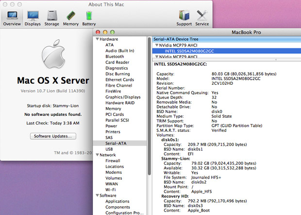 System Info, SSD - Mac OS X Lion Server