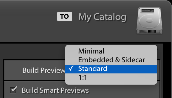 Lightroom import settings for generating previews